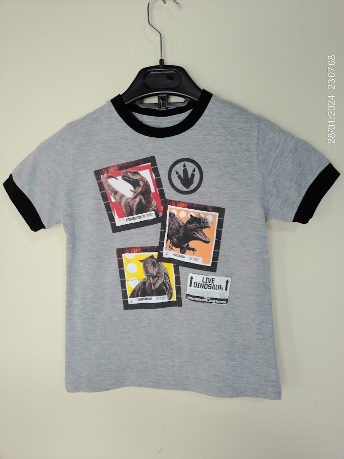 [KIDFETIUSA0415] Remera de algodon gris con print de dinosaurios